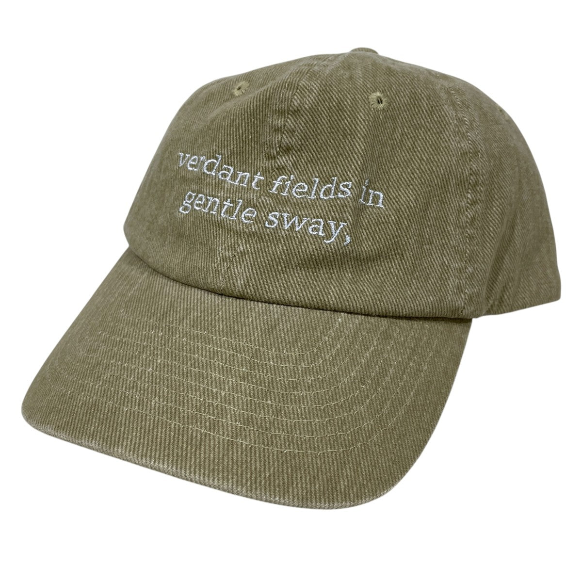 25SS ピグメントキャップ Pigment Cap 21259665802