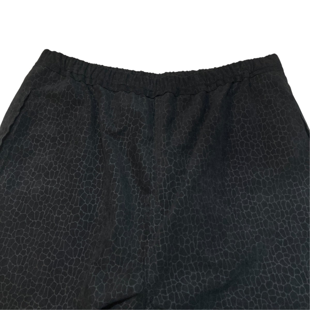 CLASS ULTRASUEDE EMBOSSING PANTS総柄ウルトラスエードリブパンツCCFS19UNI 古着・中古-3枚目のアイテム画像