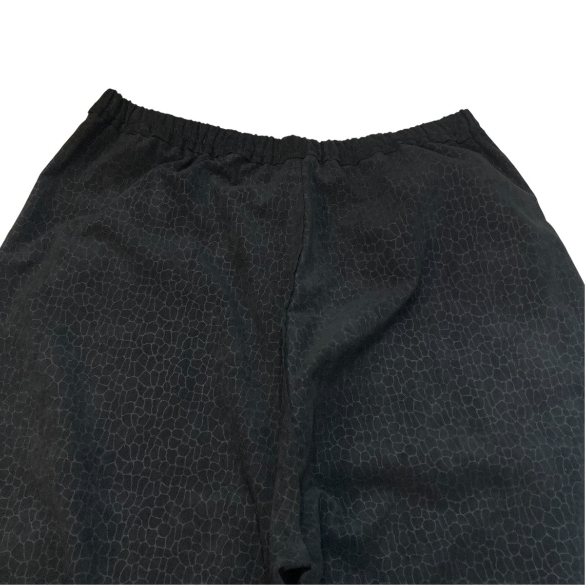 CLASS ULTRASUEDE EMBOSSING PANTS総柄ウルトラスエードリブパンツCCFS19UNI 古着・中古-5枚目のアイテム画像