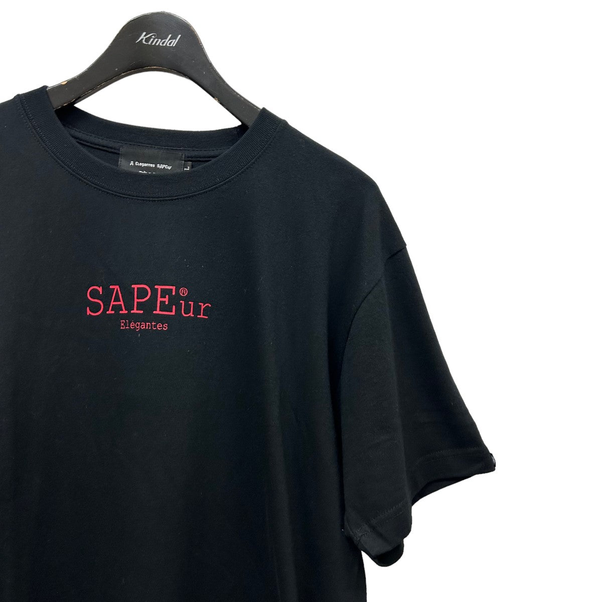 SAPEur(サプール) ロッドマンバックプリントTシャツ