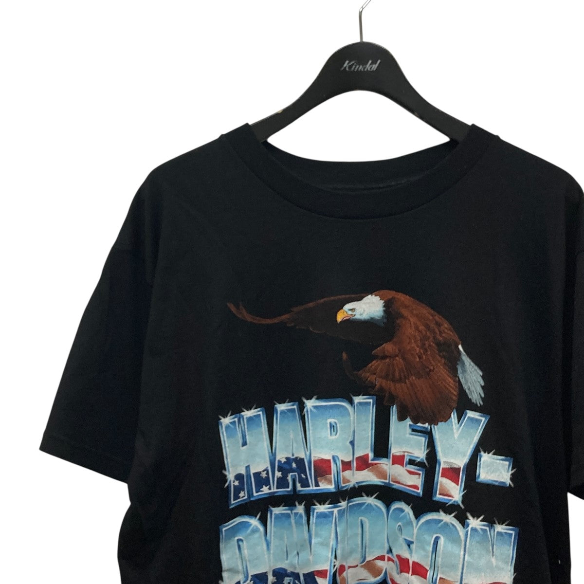 EAGLE ICEプリントTシャツ