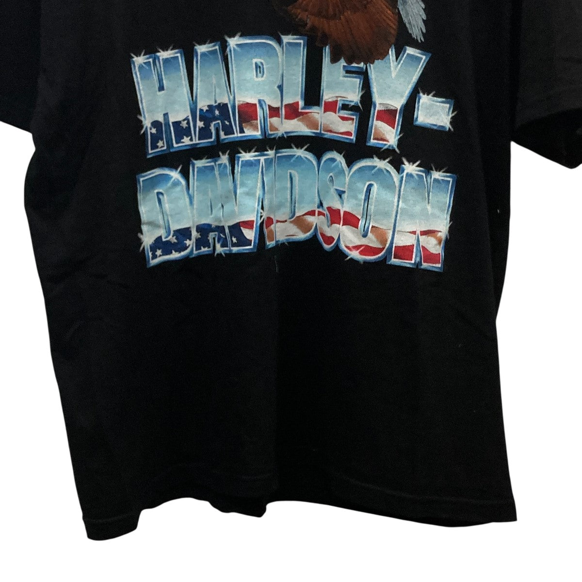 EAGLE ICEプリントTシャツ