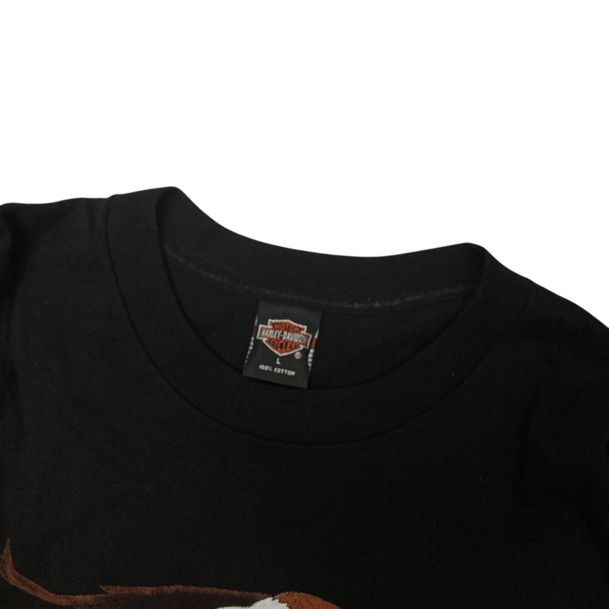 EAGLE ICEプリントTシャツ