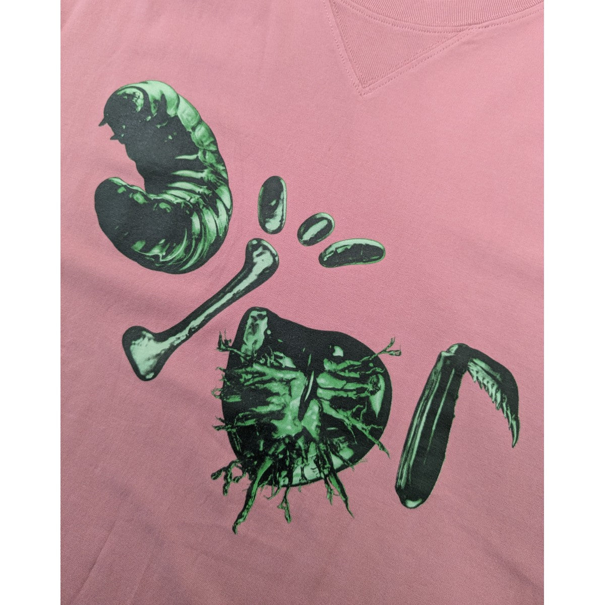 DIOR×TRAVIS SCOTT カクタスジャックロゴTシャツ 古着・中古-4枚目のアイテム画像