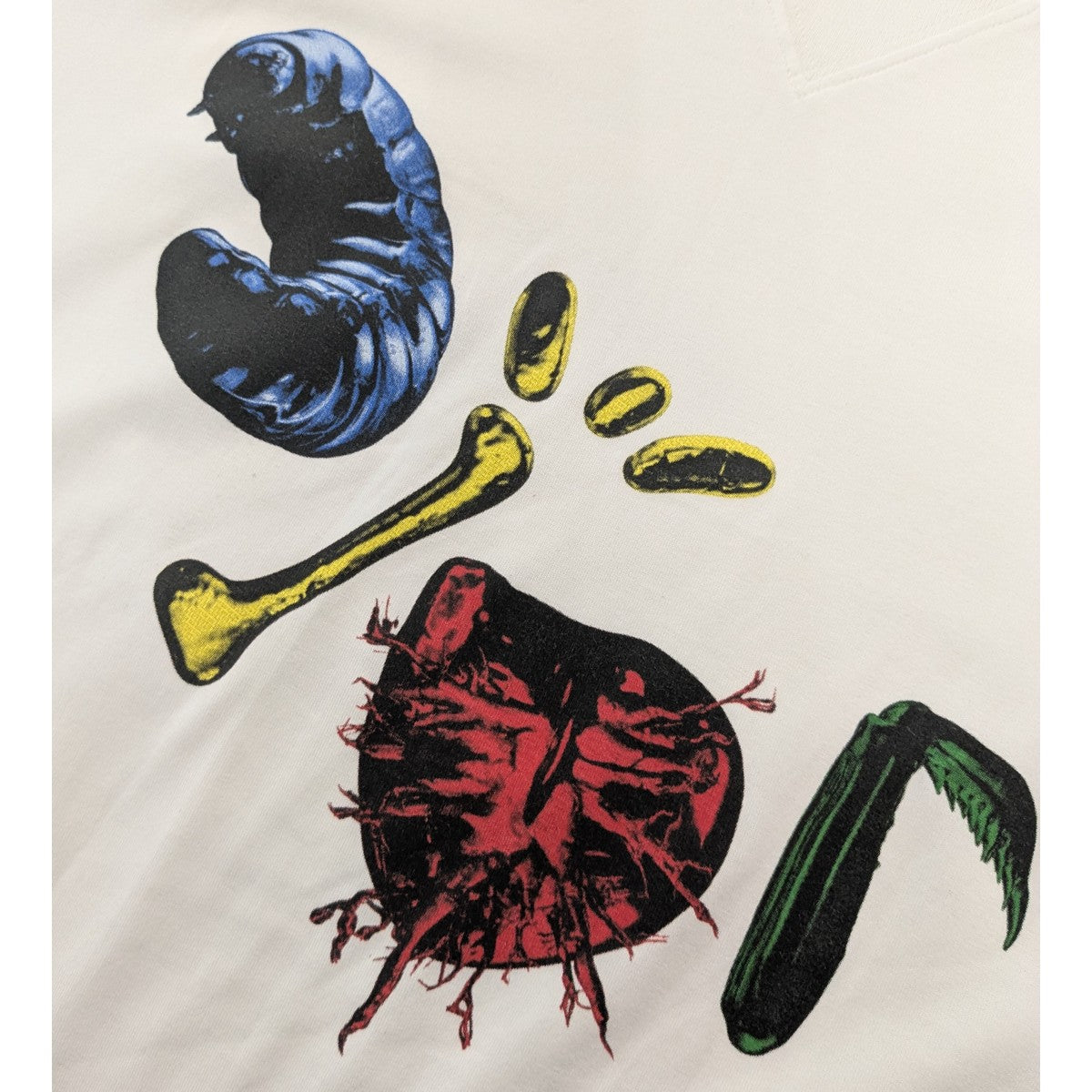 DIOR×TRAVIS SCOTT カクタスジャックロゴTシャツ 古着・中古-4枚目のアイテム画像
