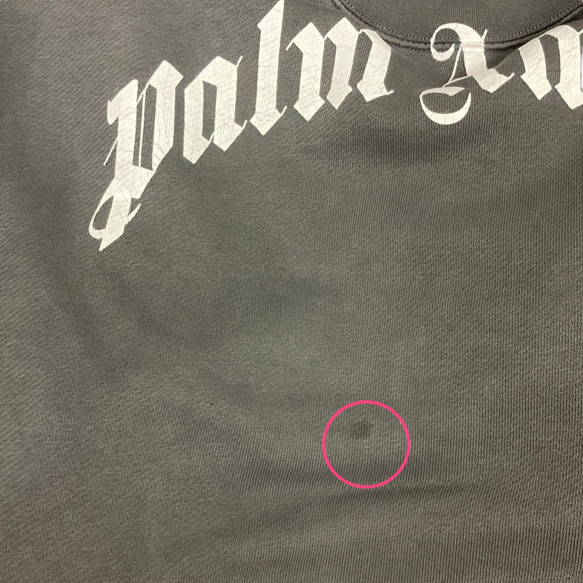 Palm Angels(パームエンジェルス) CURVED LOGO SWEATSHIRTクルーネック
