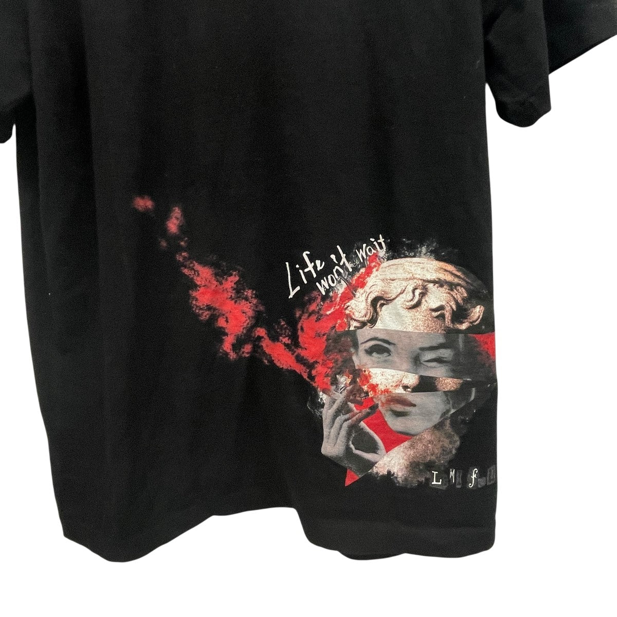 LIMI feu(リミフゥ) STATUE COLLAGE T-SHIRT BプリントTシャツLP