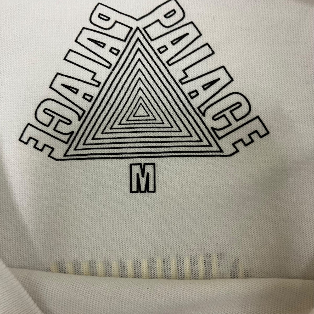 PALACE プリントTシャツTRI-VEX 古着・中古-6枚目のアイテム画像