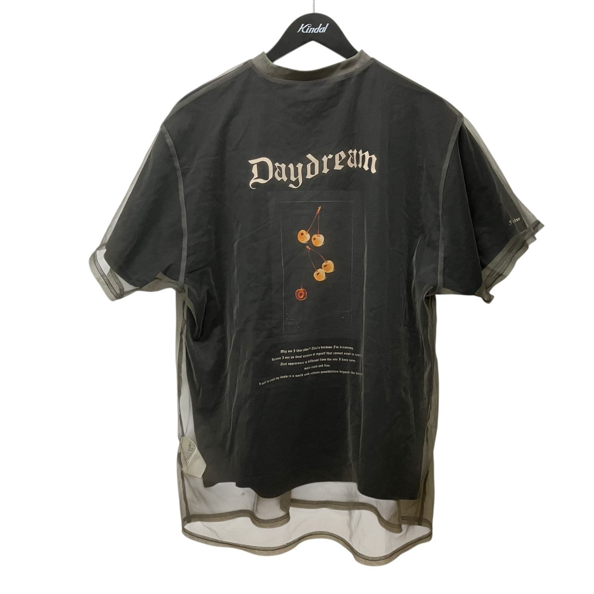 AMERI 25SSMEDI LAYERED CONCEPT TEEレイヤードTシャツ0225103610870 古着・中古-1枚目のアイテム画像