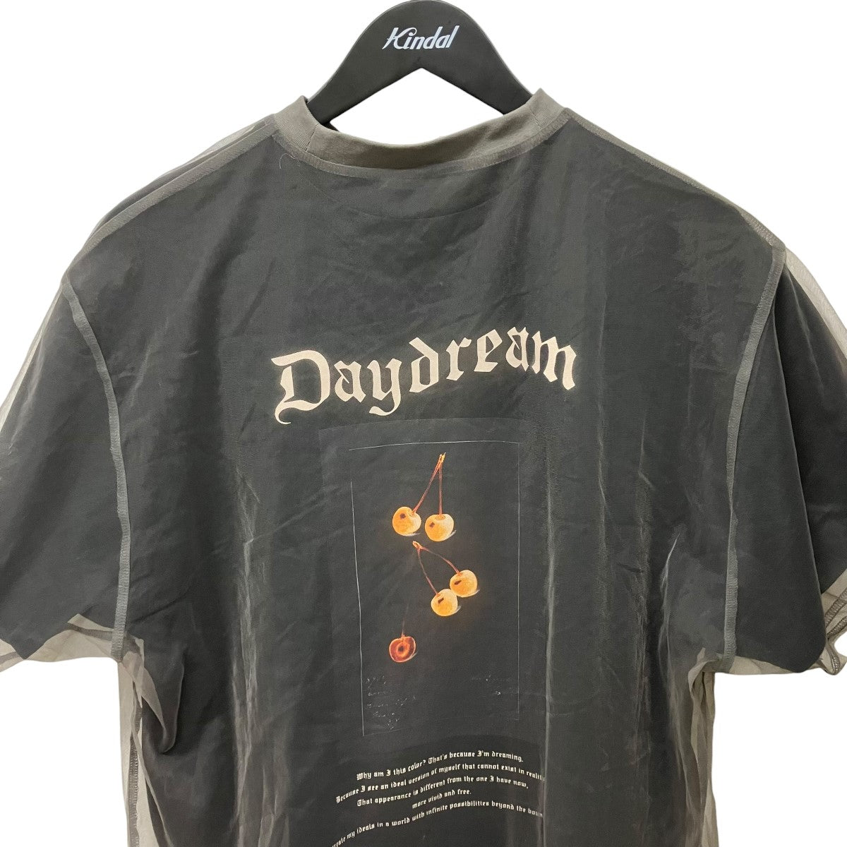 AMERI 25SSMEDI LAYERED CONCEPT TEEレイヤードTシャツ0225103610870 古着・中古-3枚目のアイテム画像