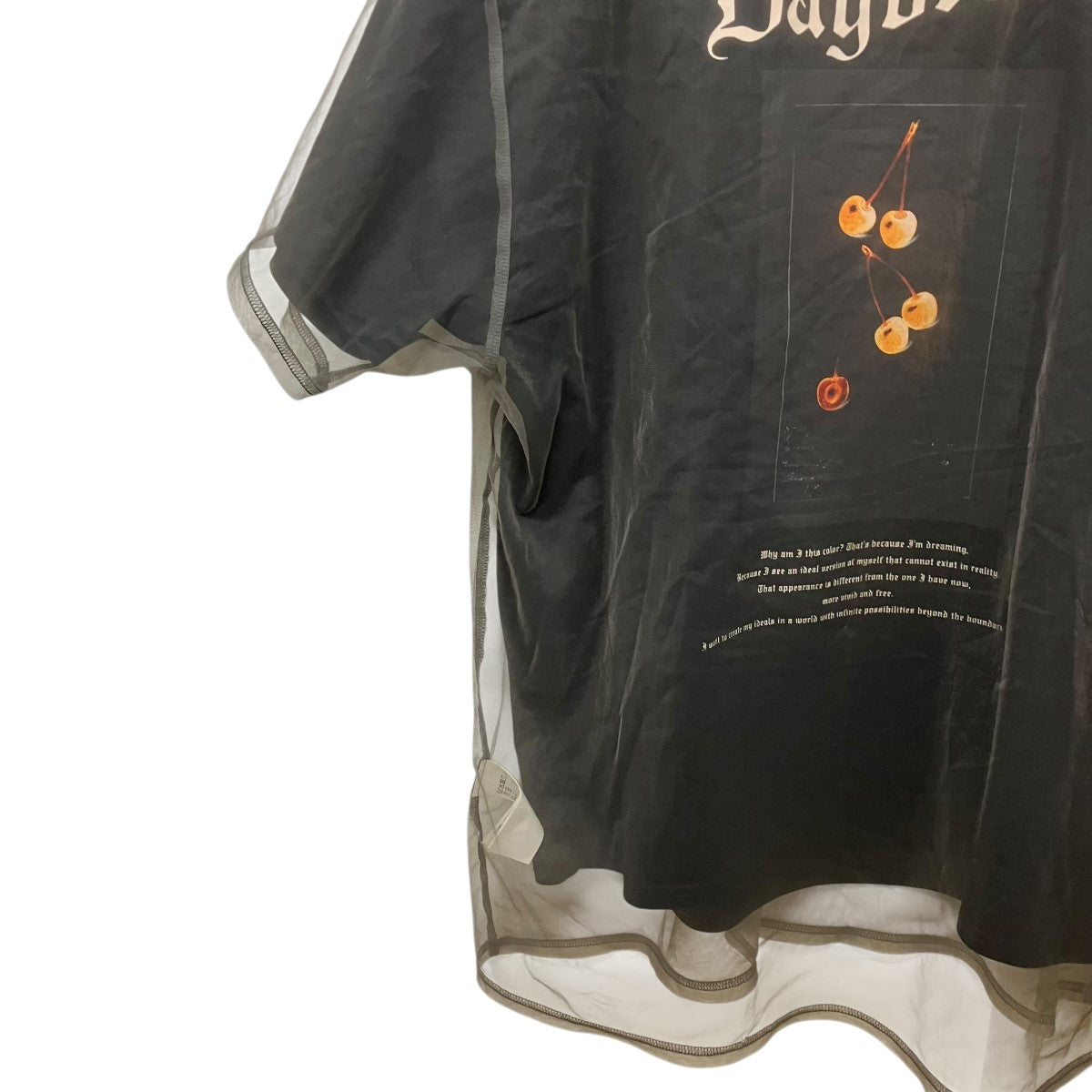 AMERI 25SSMEDI LAYERED CONCEPT TEEレイヤードTシャツ0225103610870 古着・中古-5枚目のアイテム画像