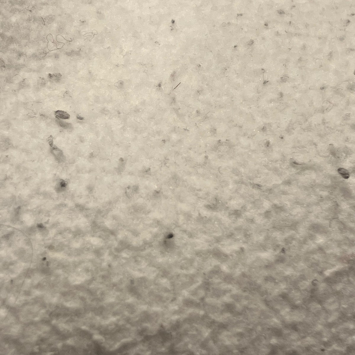 フーデッドロゴプリントパーカー