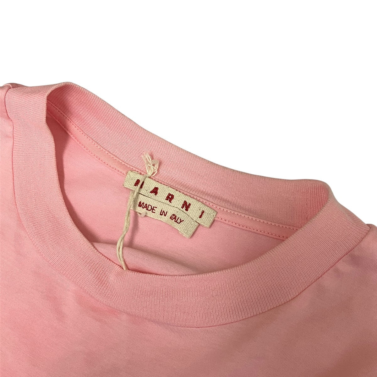 オーガニックコットンクロップドロゴTシャツTHJE0301S0UTC017