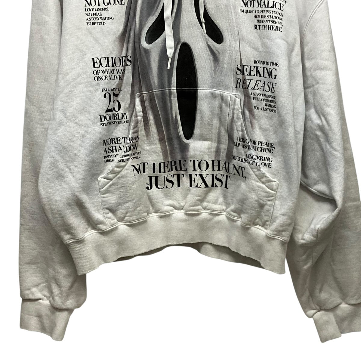 doublet 25AWVILLAIN COVER PRINT HOODIEプリントパーカー25AW47CS410 古着・中古-4枚目のアイテム画像