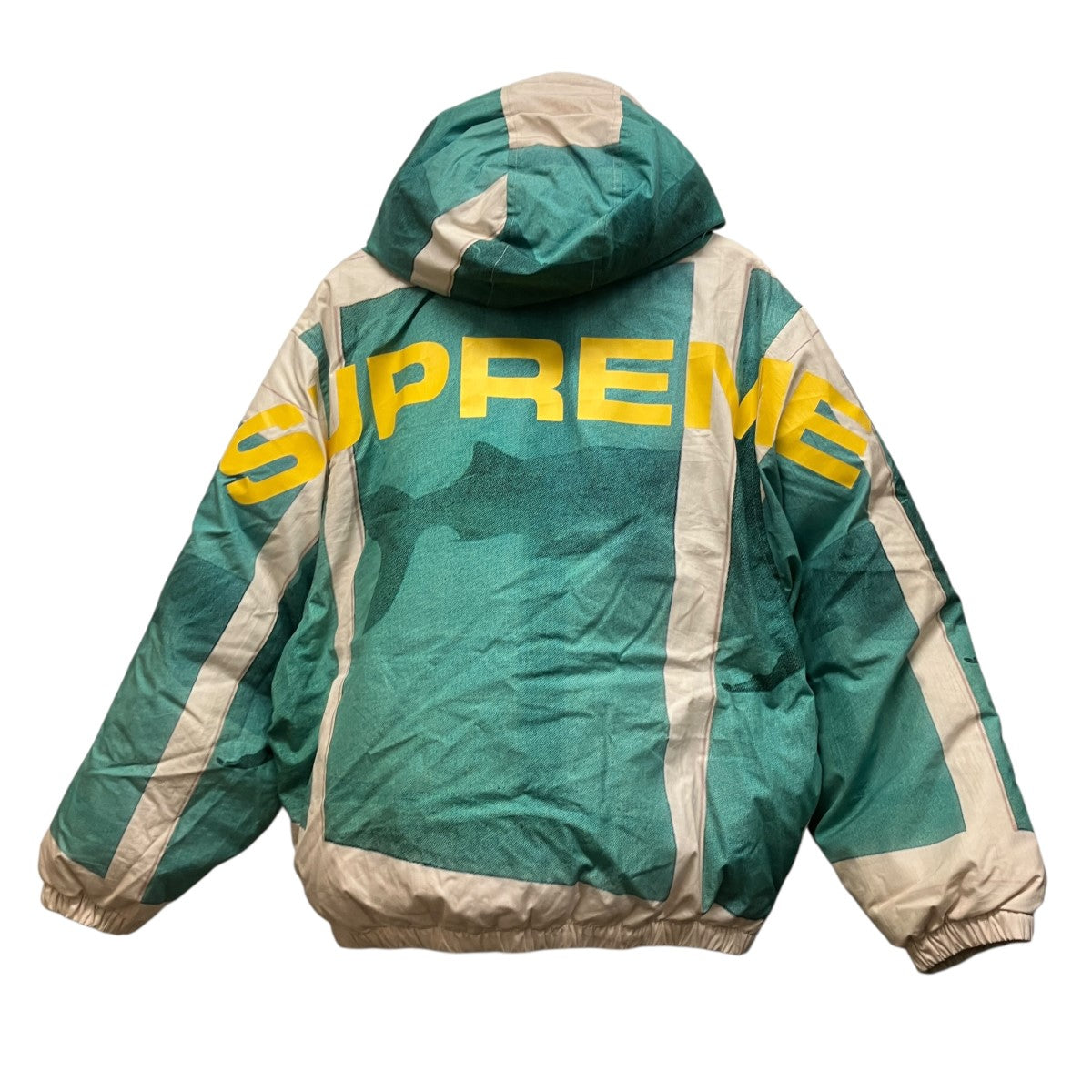 Supreme 25SSDamien Hirst Down puffer Jacket総柄バックロゴダウンジャケット 古着・中古-1枚目のアイテム画像