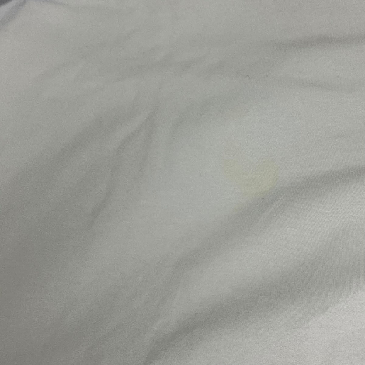 23SSHEGLAND PR EMBプリント長袖カットソー