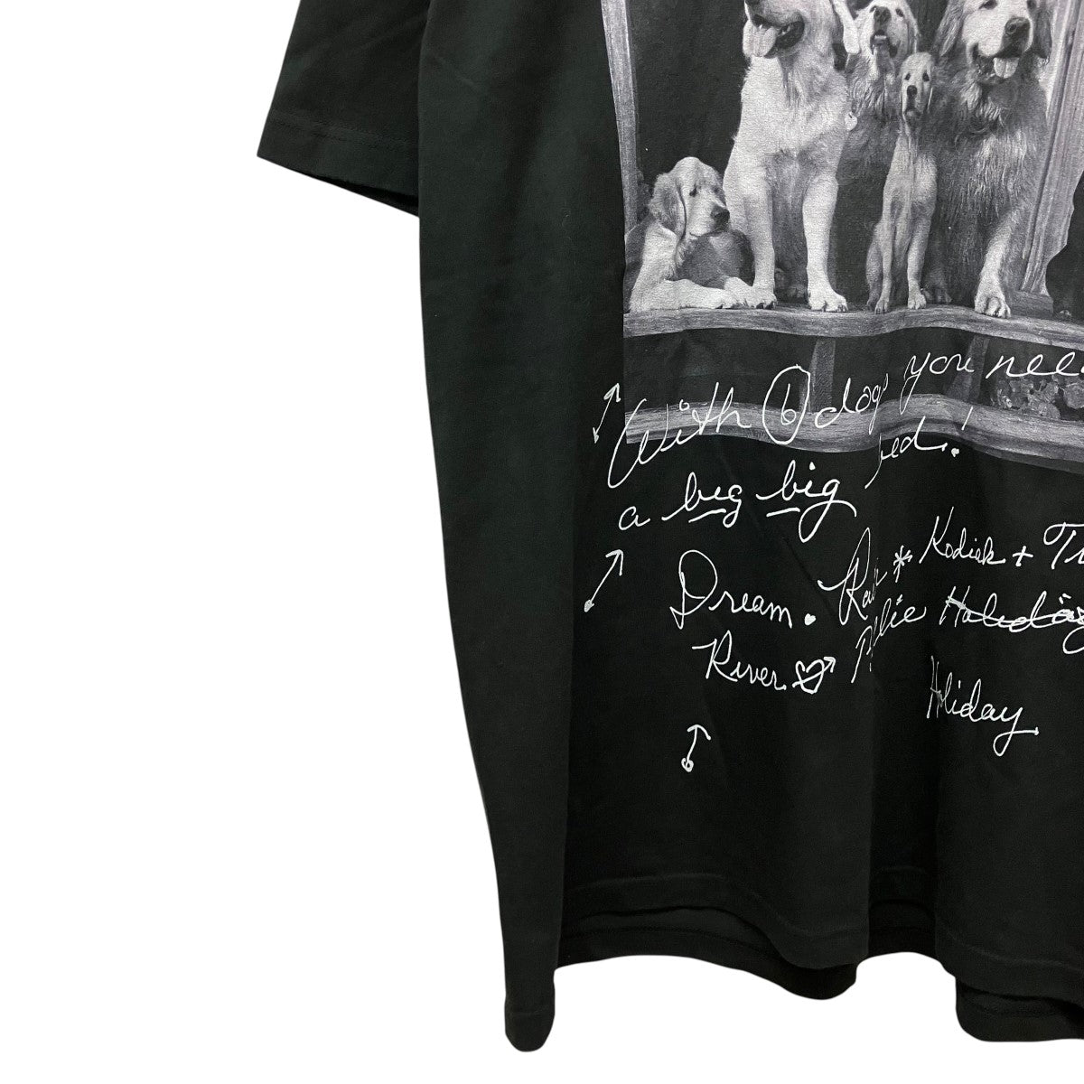 Bruce Weber×BIOTOP プリントTシャツGMM-70220-C 古着・中古-5枚目のアイテム画像