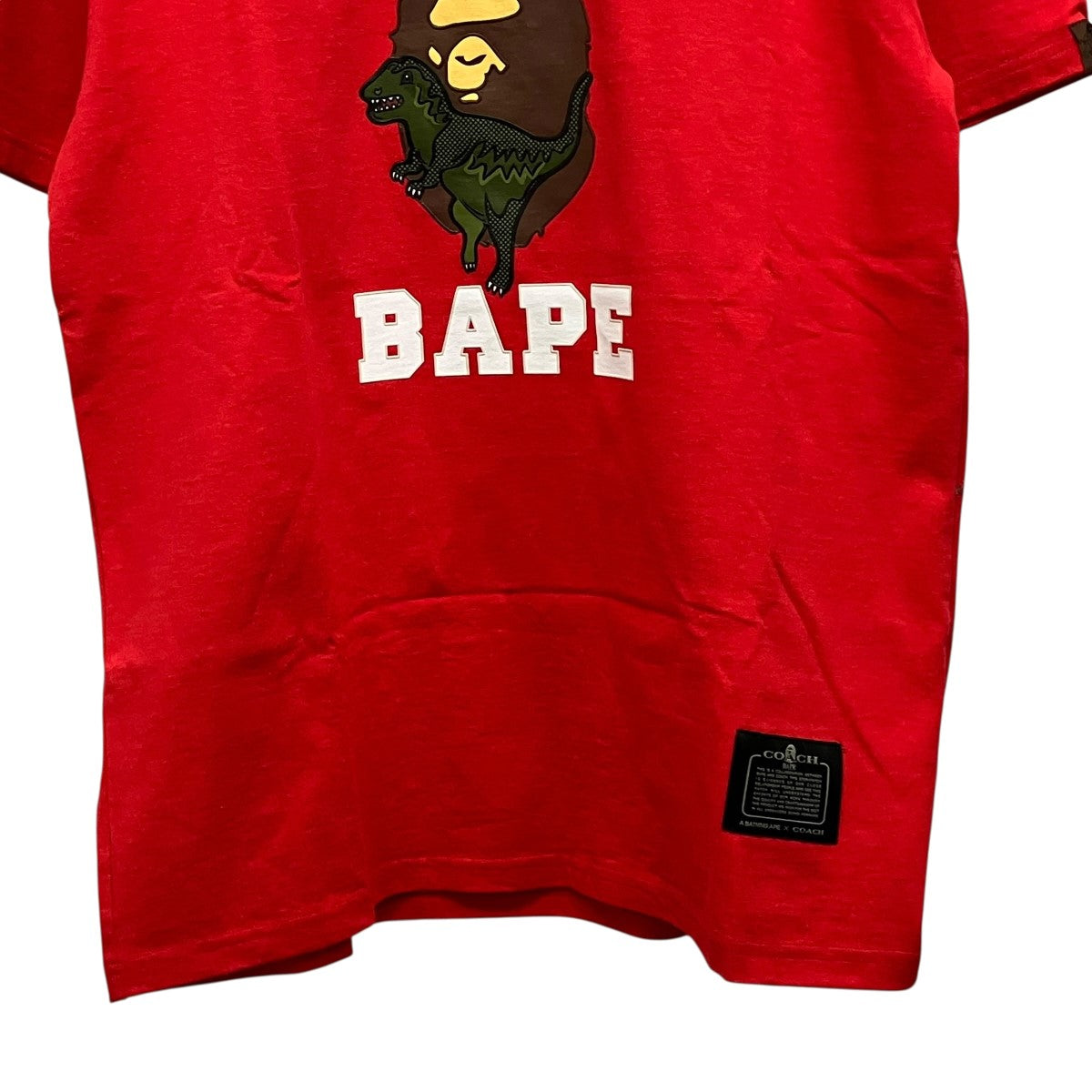 COACH×A BATHING APE REXY TEEロゴTシャツ001ETEG231901X 古着・中古-4枚目のアイテム画像