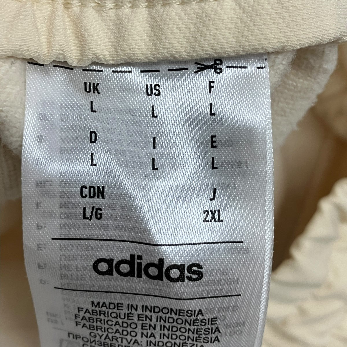 Athletics x adidas PantナイロンイージーパンツIS8737