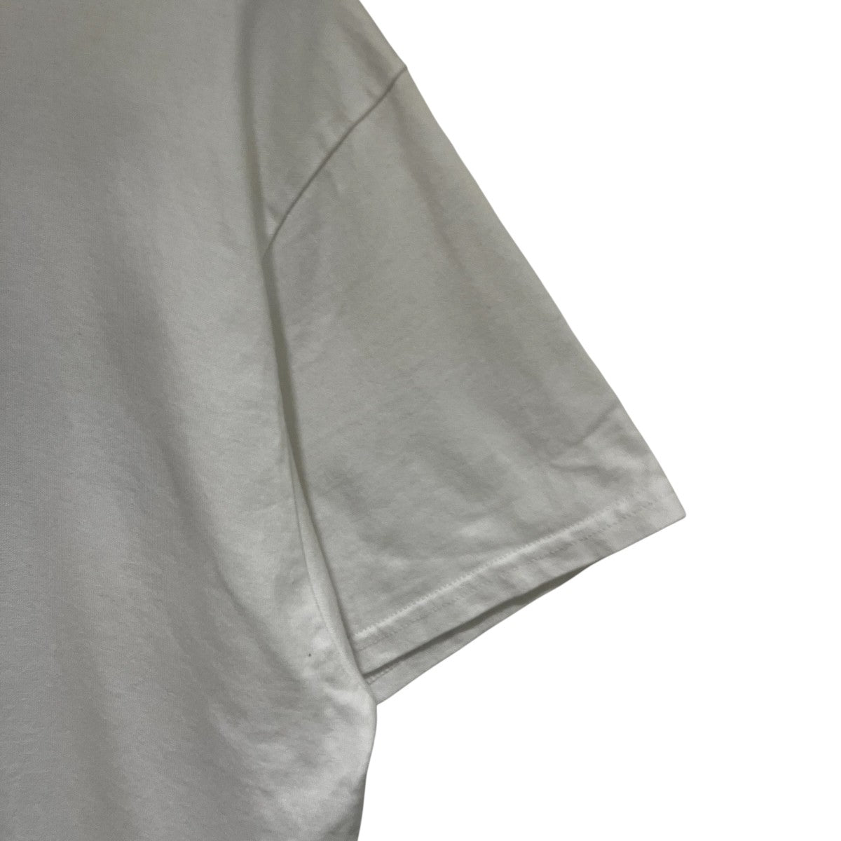 ロゴプリントTシャツWDS-SEA-21S-01