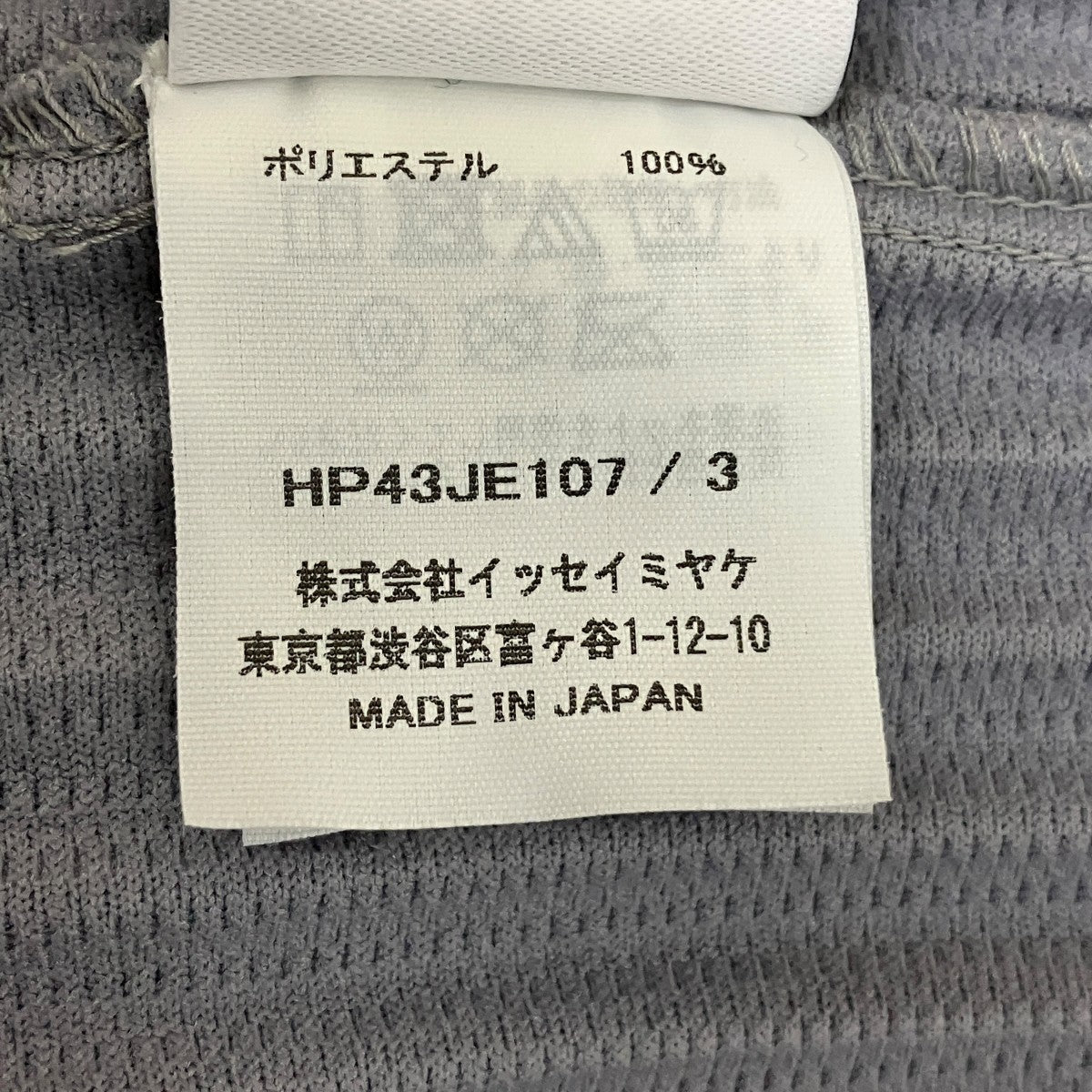 HOMME PLISSE ISSEY MIYAKE 24AWMONTHLY COLOR AUGUSTプリーユベストHP43JE107 古着・中古-6枚目のアイテム画像