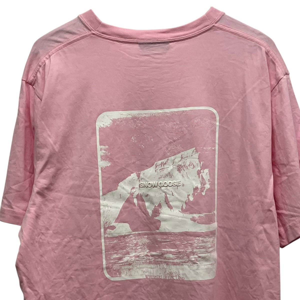 CANADA GOOSE 26SSMesa Tee \50，600プリントTシャツ1328UCD2 古着・中古-3枚目のアイテム画像