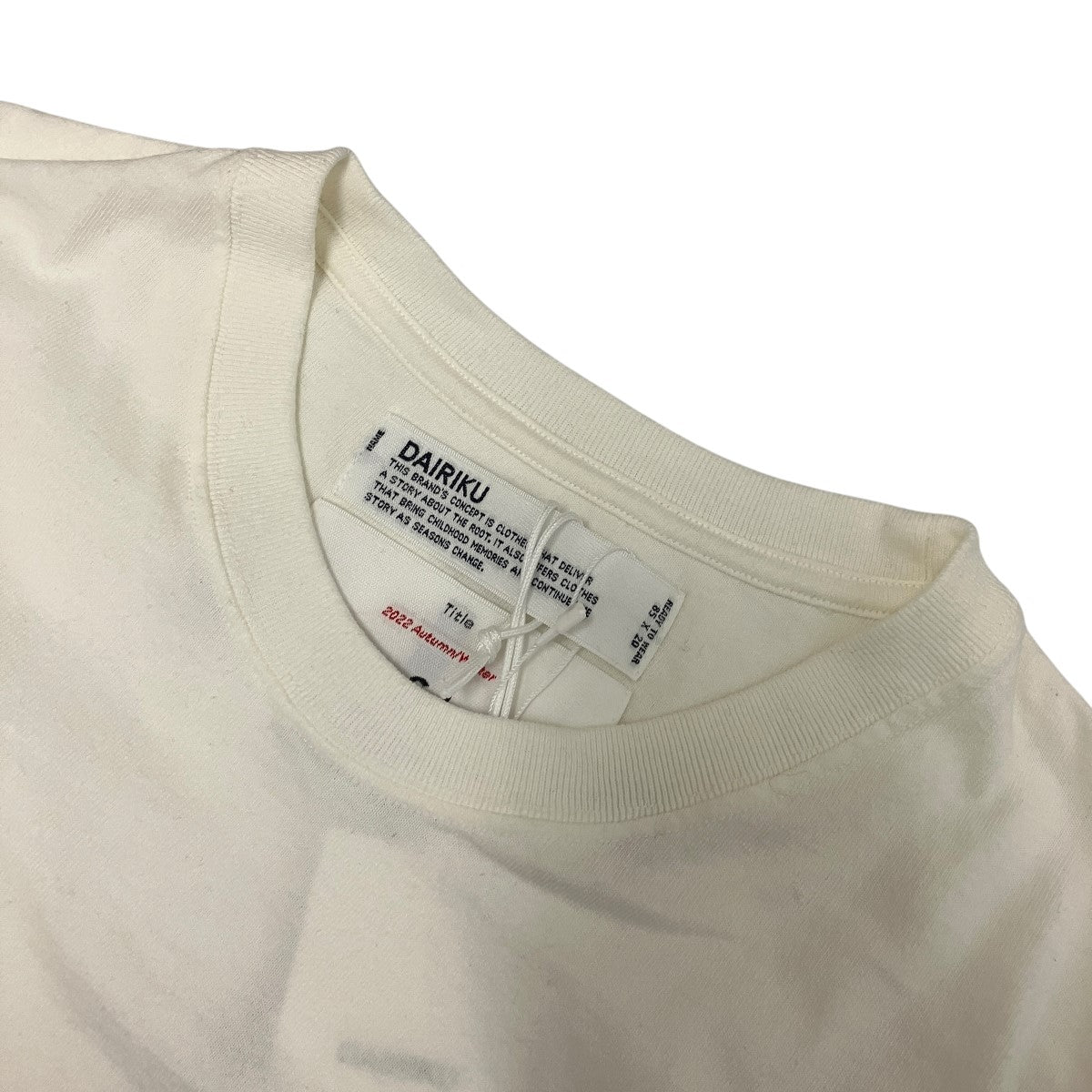 DAIRIKU 22AWAFTER SCHOOLSSZ刺繍Tシャツ22AW BM-9 古着・中古-5枚目のアイテム画像