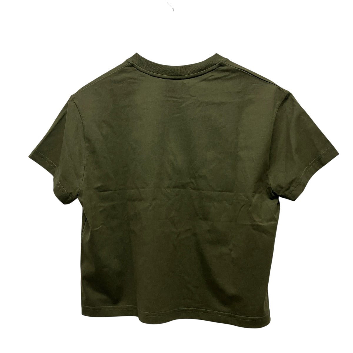 V Neck Cropped T-ShirtVネッククロップドTシャツ224JTS138JS0107