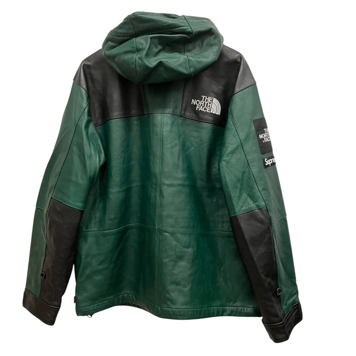 18AWLeather Mountain parkaレザーマウンテンパーカーNP618071