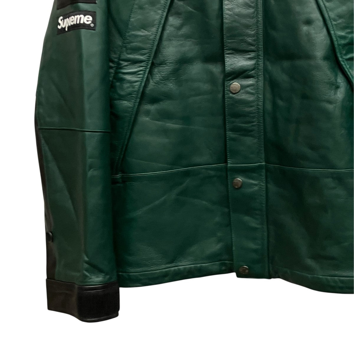 18AWLeather Mountain parkaレザーマウンテンパーカーNP618071