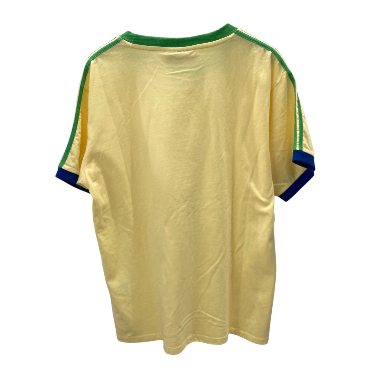 Dolphins Ringer T-ShirtリンガーTシャツ／半袖カットソー