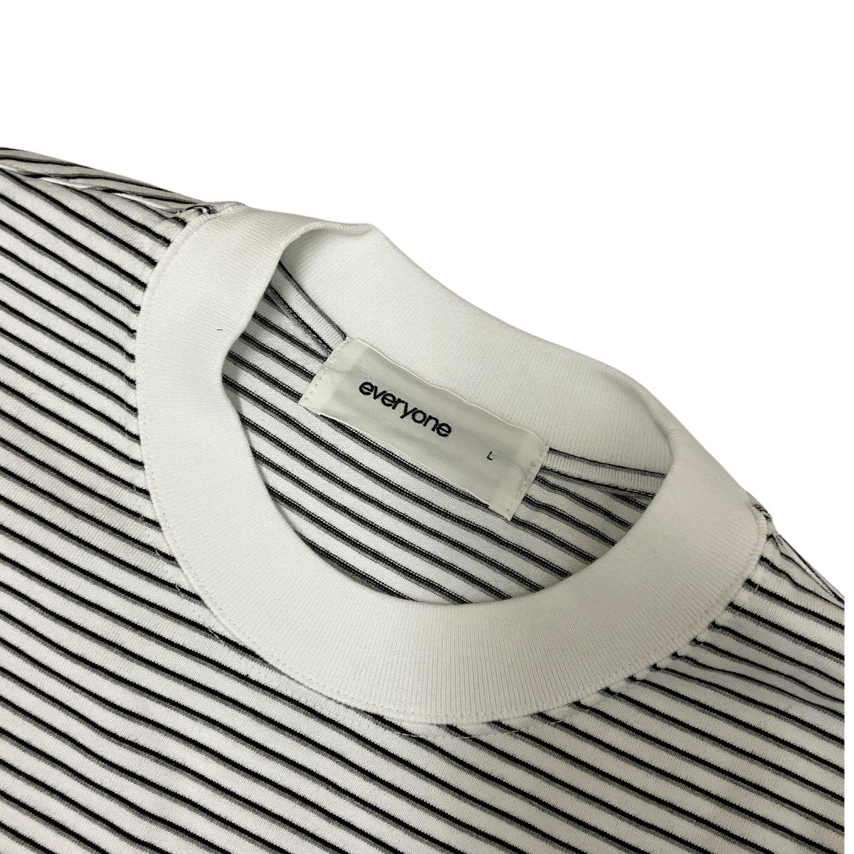 ボーダーTシャツEV26-CS61