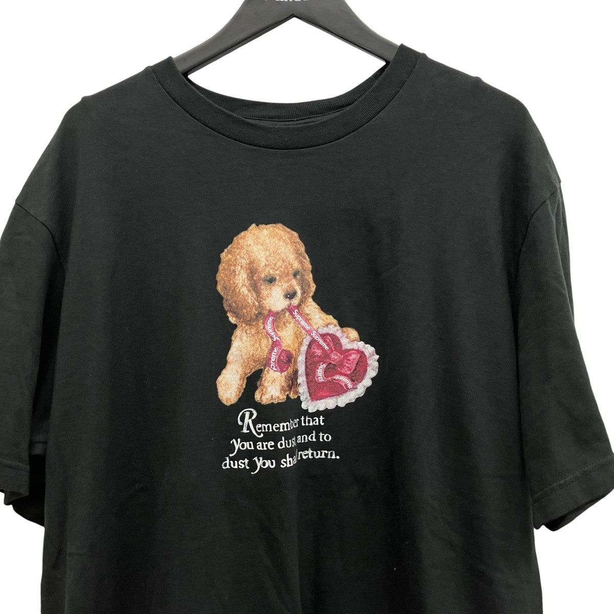25AWプリントTシャツDust Tee