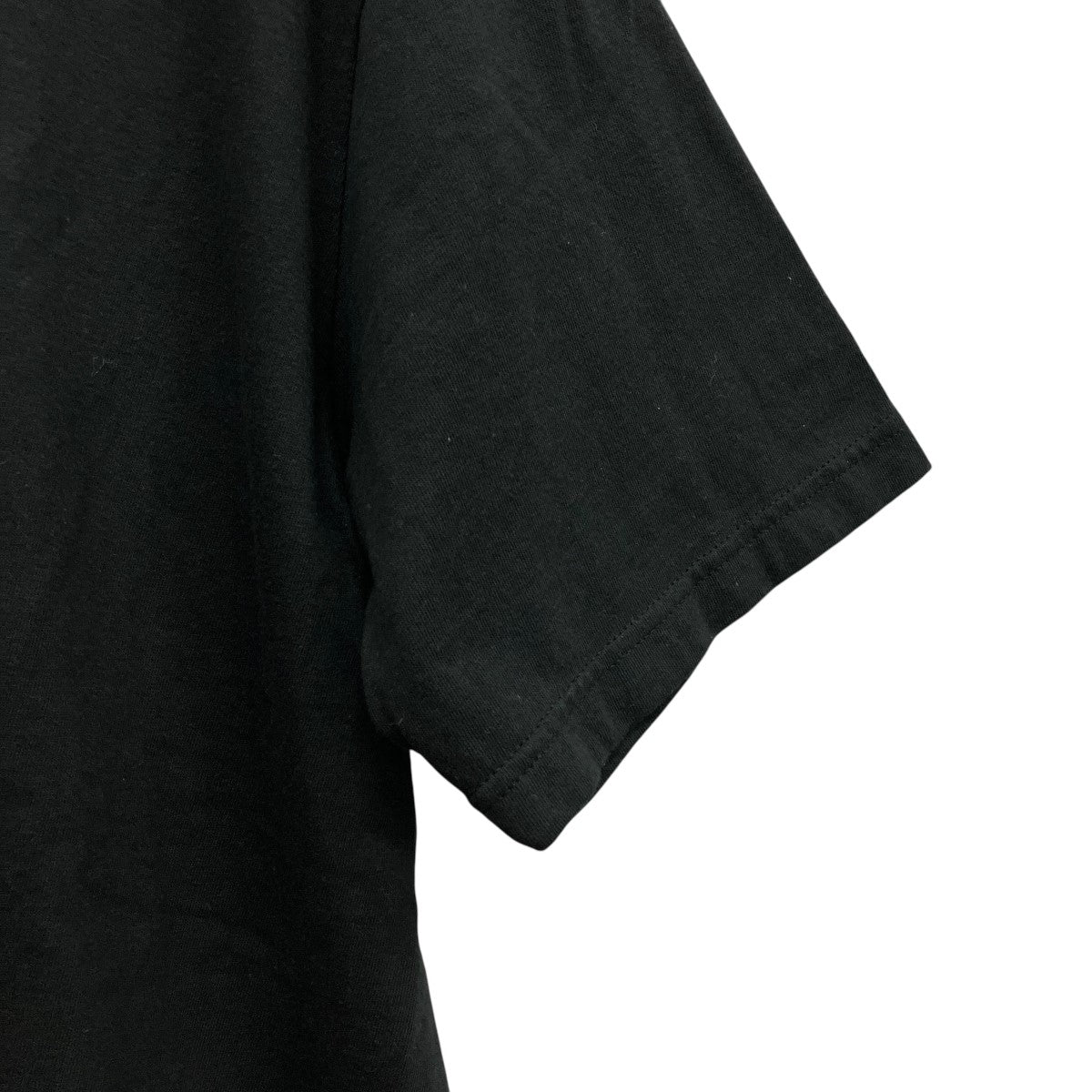 25AWプリントTシャツDust Tee