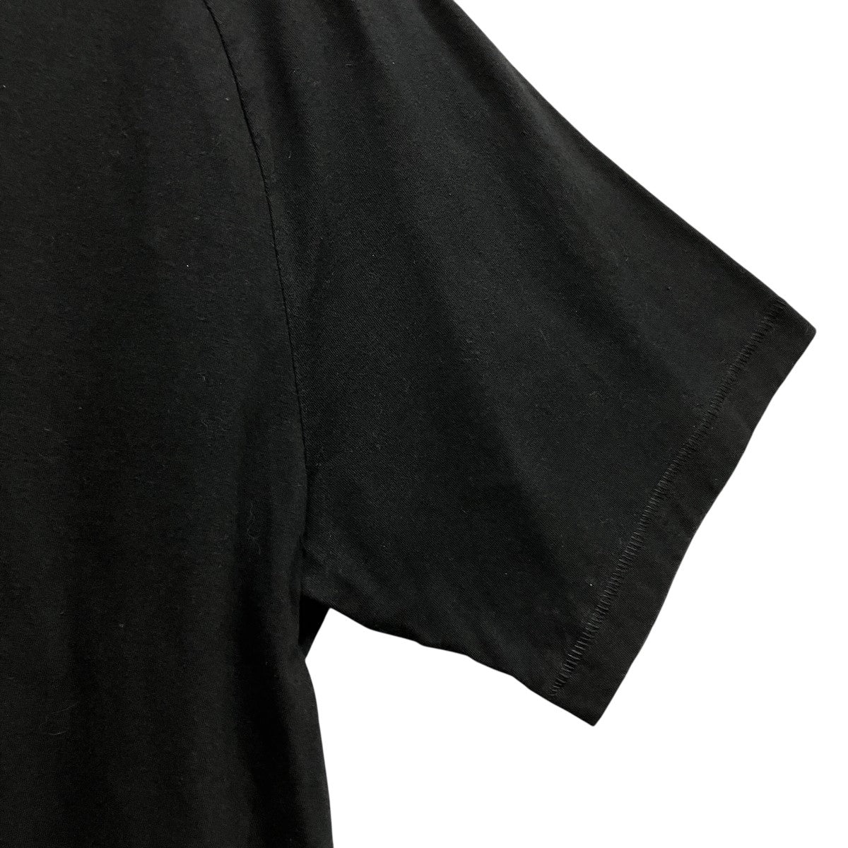 23SSラメロゴTシャツ313J647A0817