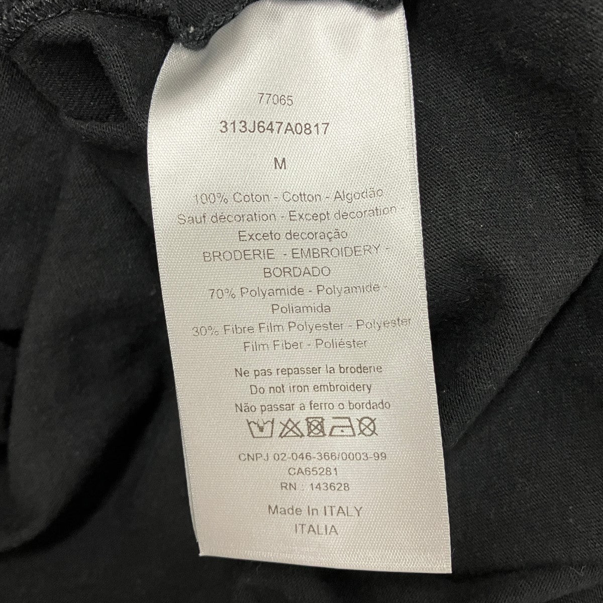 23SSラメロゴTシャツ313J647A0817