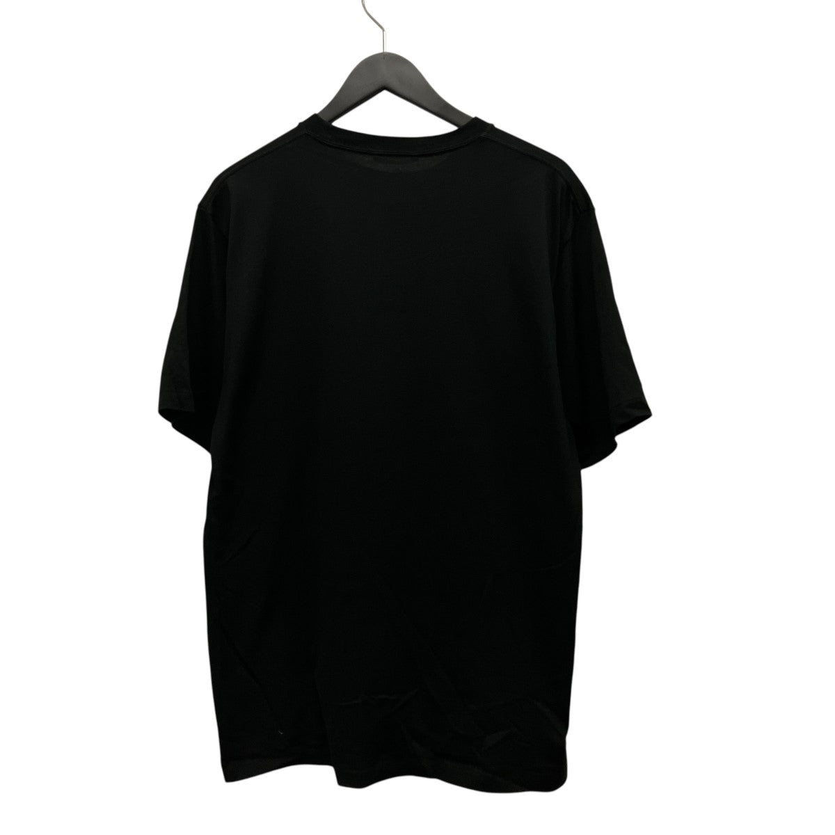 LUSTER PLAITING TEEプレーティングTシャツA00SP02GT