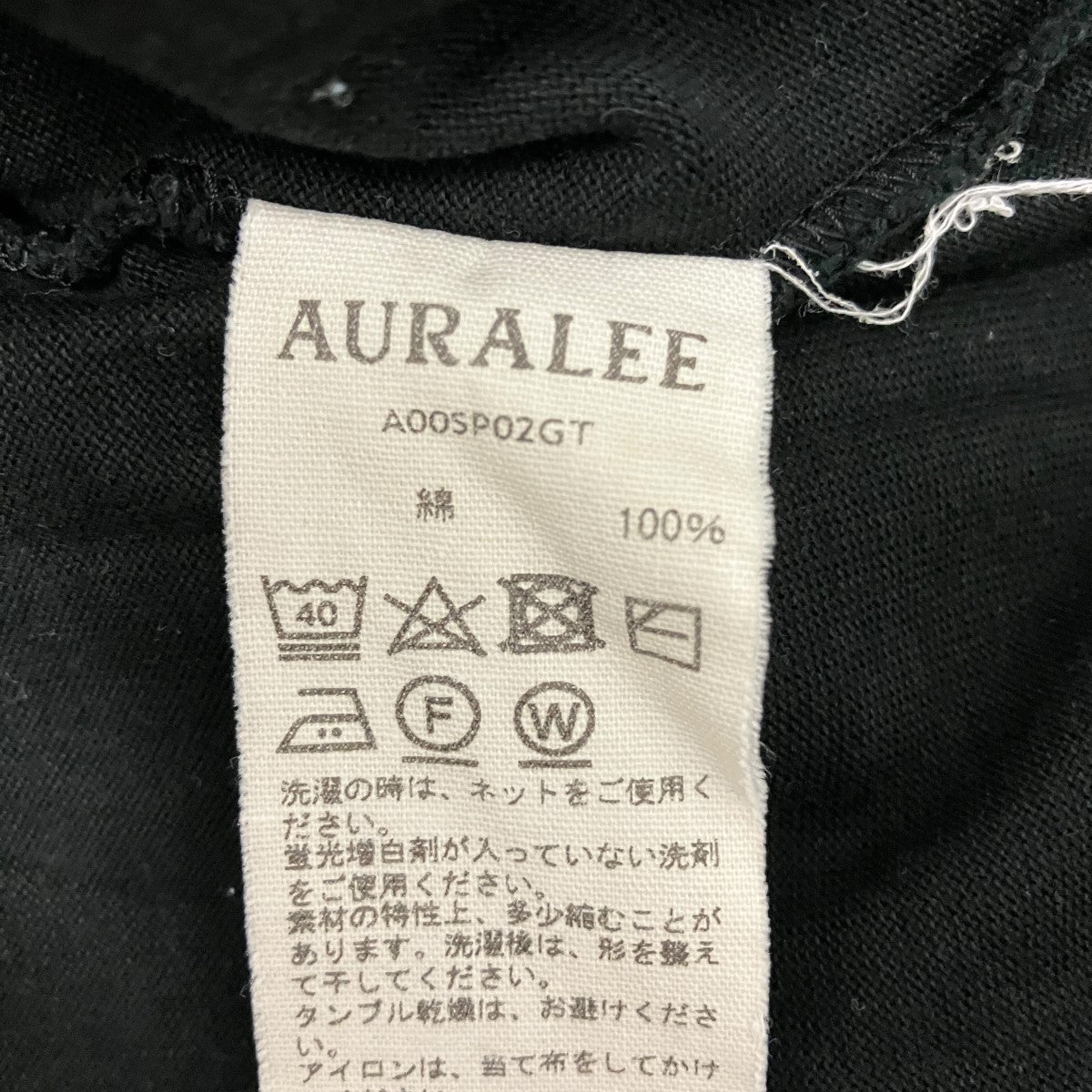 LUSTER PLAITING TEEプレーティングTシャツA00SP02GT