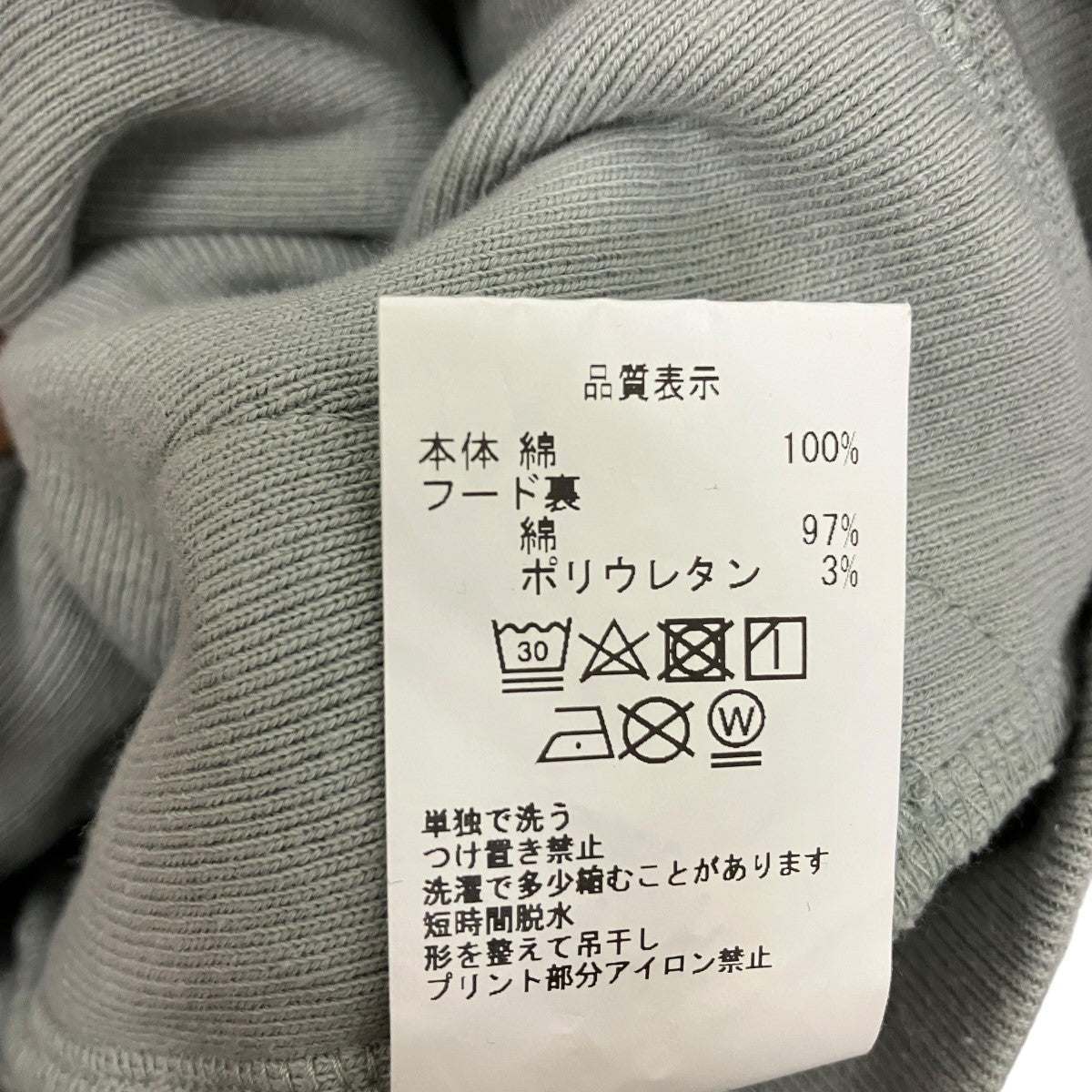 SNAP HEAVY HOODYスナップフーディーCES22CS16