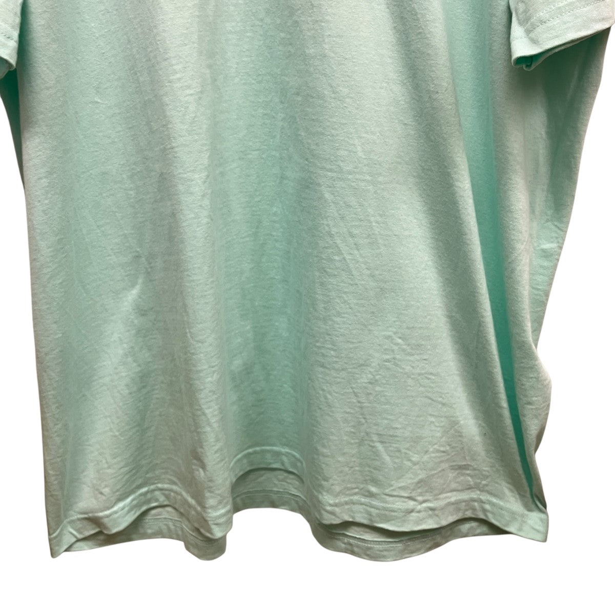 26SSSkunk TeeスカンクTシャツ