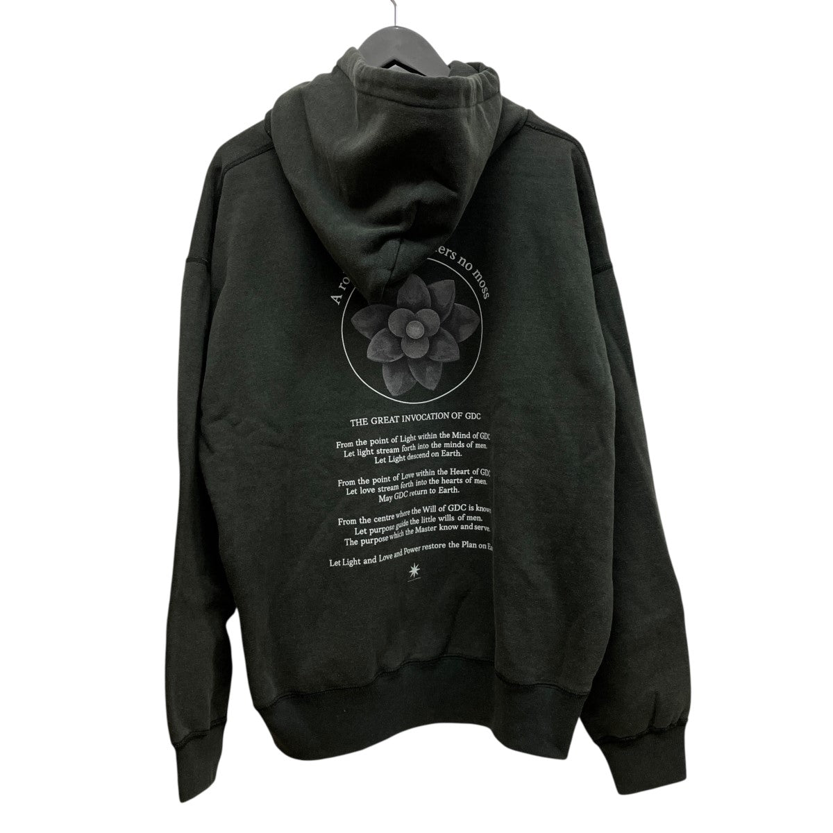 GDC フーデッドバックプリントパーカーGD0258 古着・中古-2枚目のアイテム画像