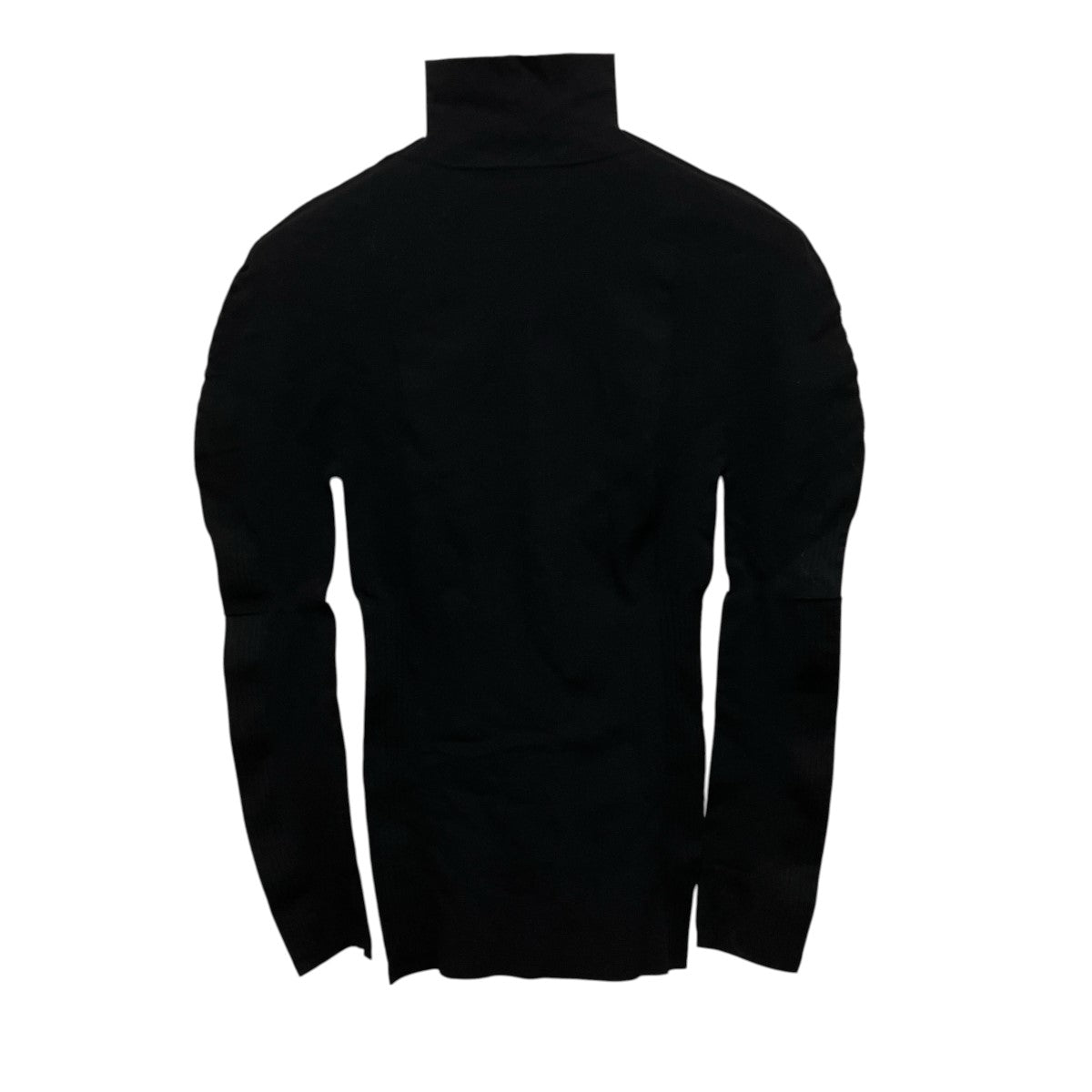 PLEATS PLEASE 26AWA-POC SKINハイネックロングスリーブカットソーPP63KK602 古着・中古-2枚目のアイテム画像