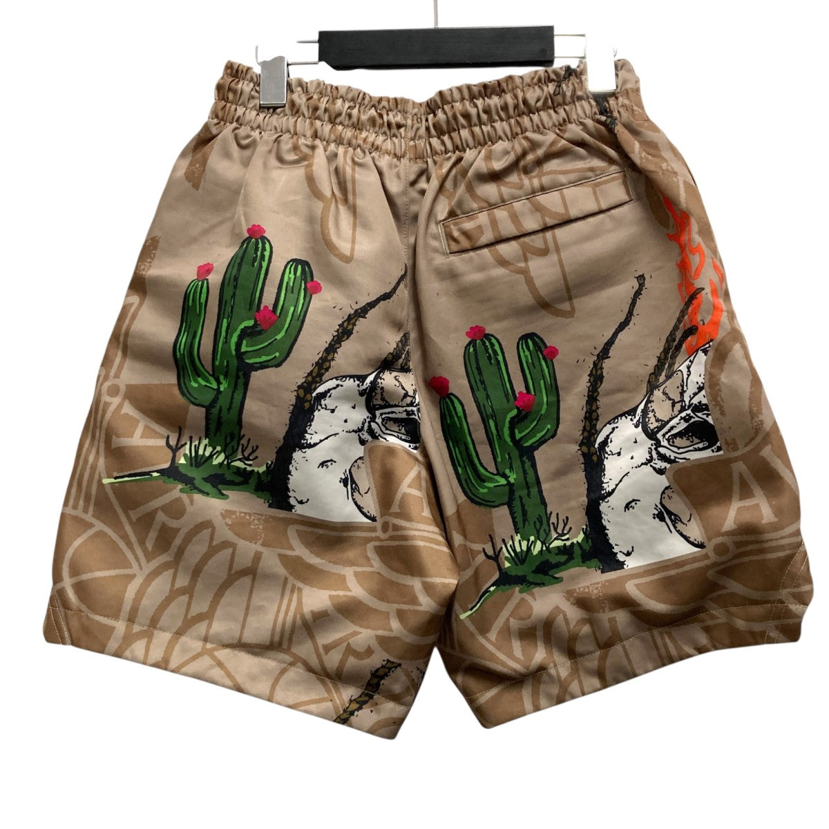 21SSPool Short PantショートパンツCZ0167 247