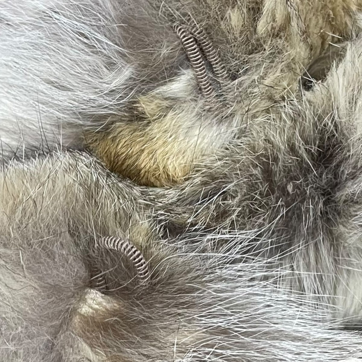 フォックスファーコート FOX FUR COAT