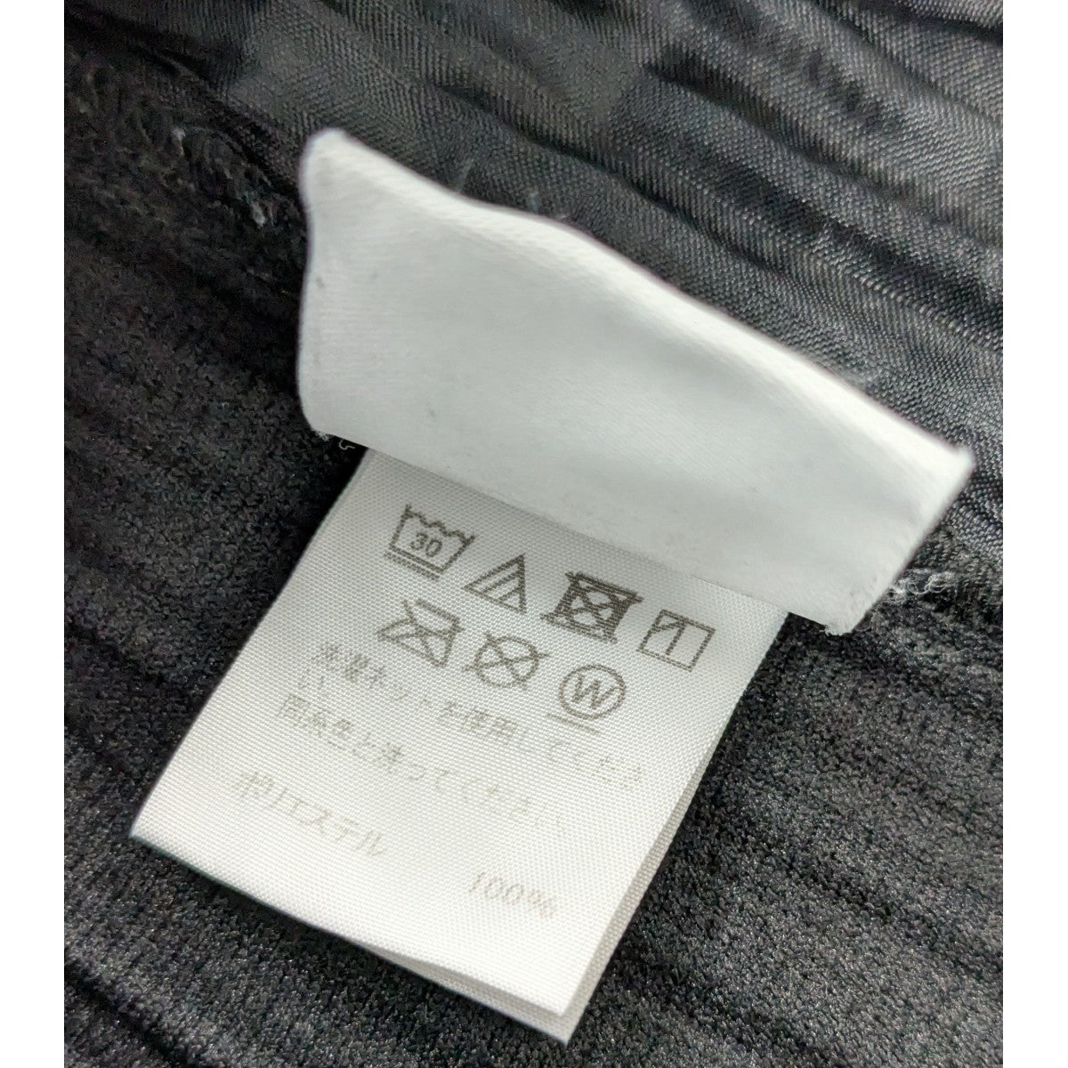 HOMME PLISSE ISSEY MIYAKE(イッセイミヤケオムプリッセ) 消し
