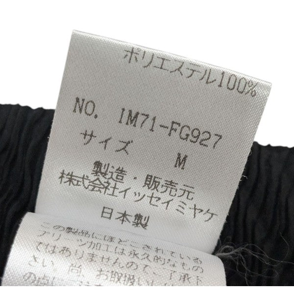 PLEATS PLEASE 未使用並み 横プリーツ エンボス加工 しスカート PLEATS PLEASE EFFICIENT SQUARE プリーツ スカート - メルカリ