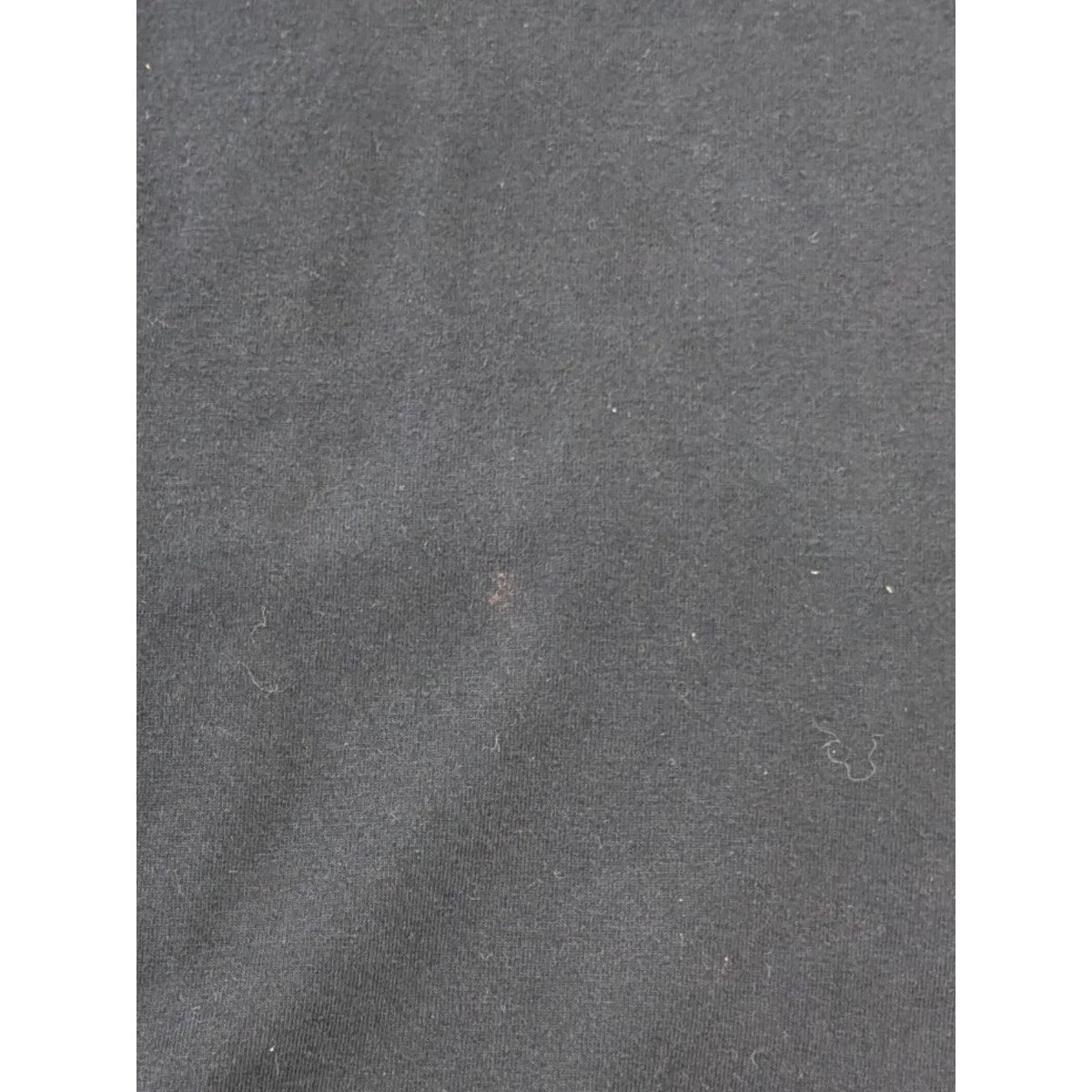 ARC’TERYX 「Arc’ Multi Bird Logo SS」マルチバードTシャツ 古着・中古-7枚目のアイテム画像