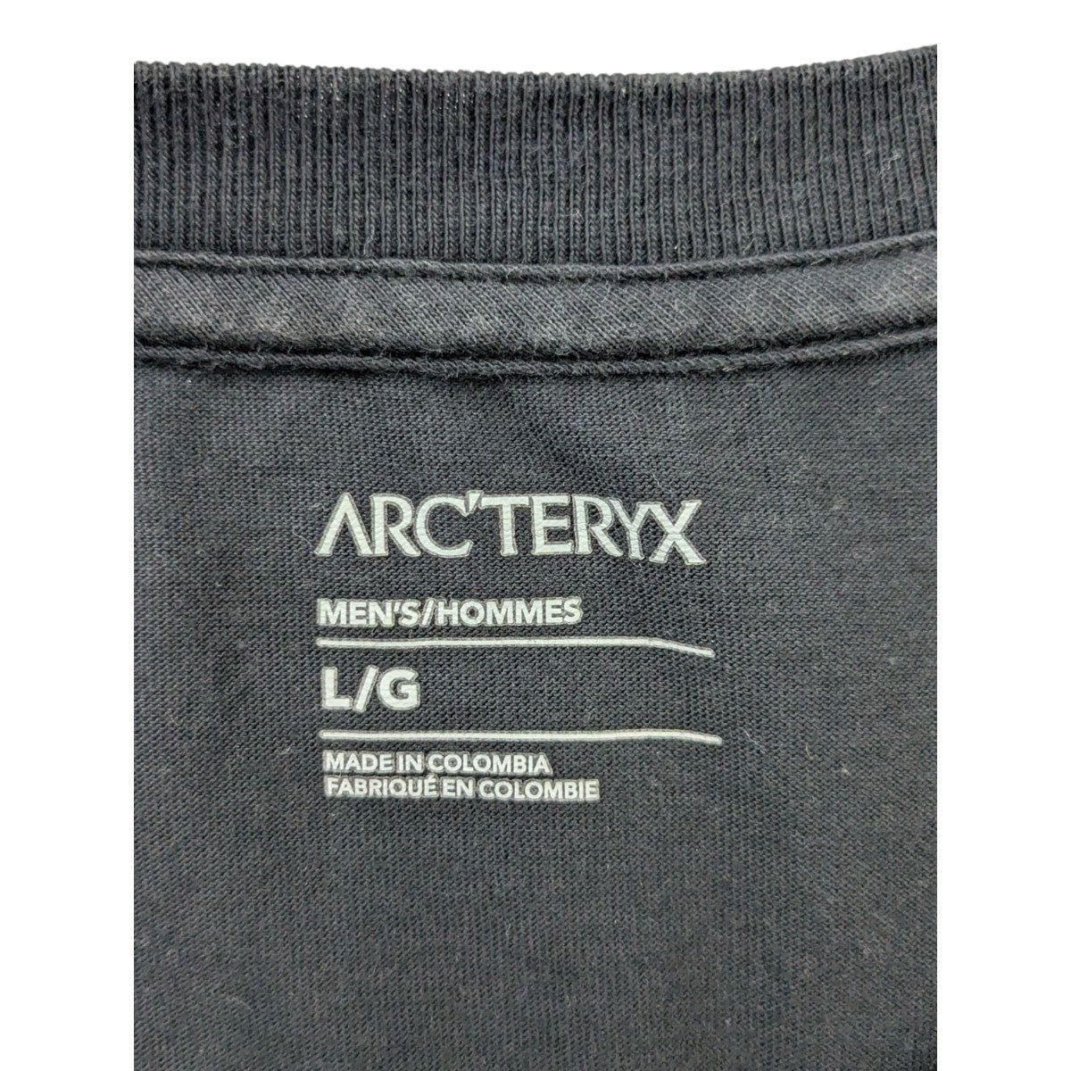 ARC’TERYX 「Arc’ Multi Bird Logo SS」マルチバードTシャツ 古着・中古-8枚目のアイテム画像