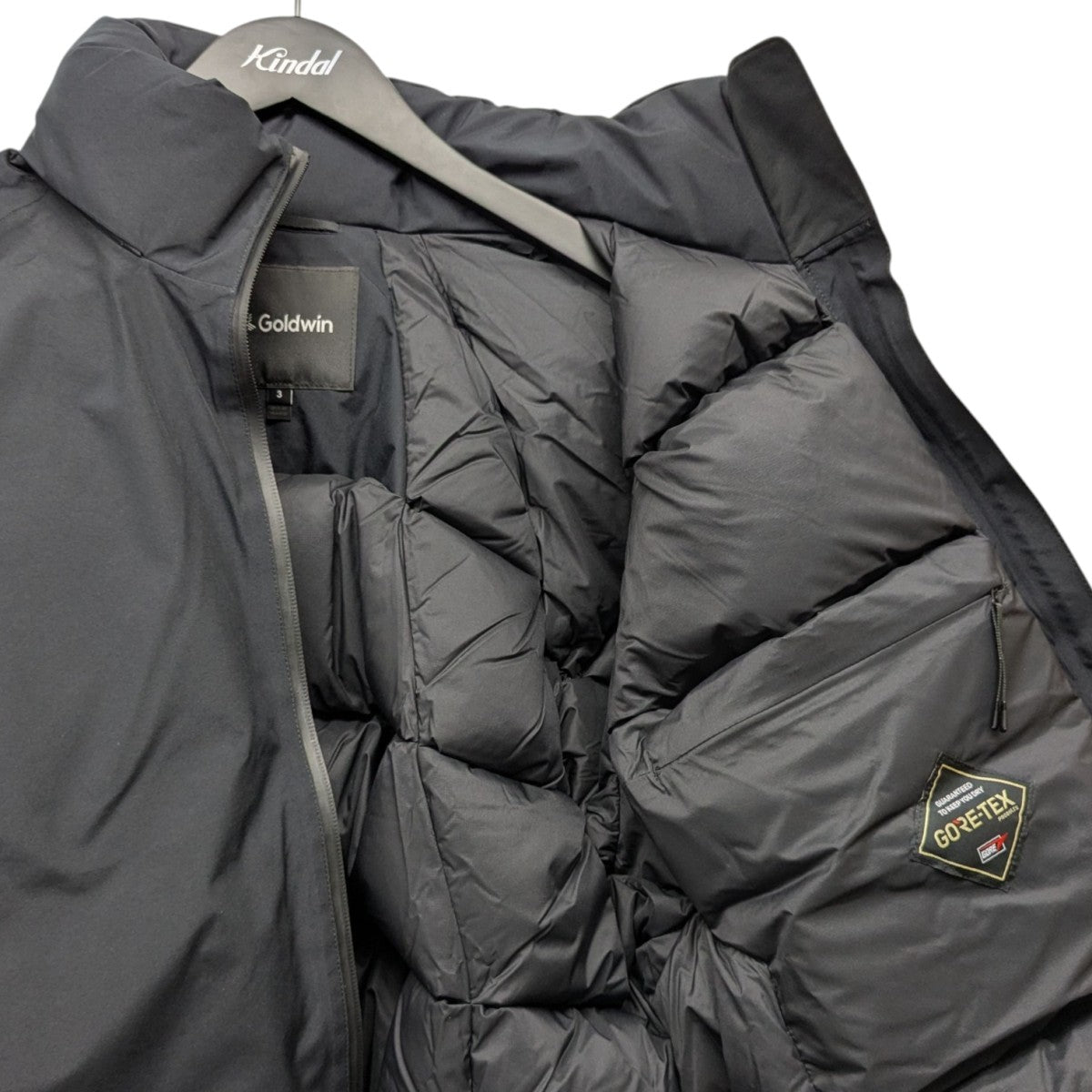 GOLDWIN(ゴールドウイン) ゴアテックス900フィルパワーダウン