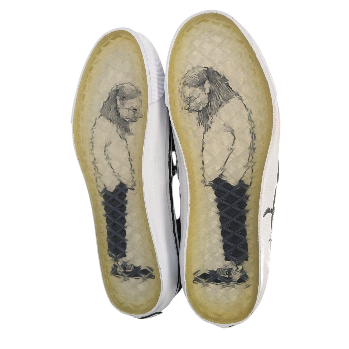 HANAI YUSUKE×VANS 「Lx Authentic 44」グラフィックスニーカー 721356